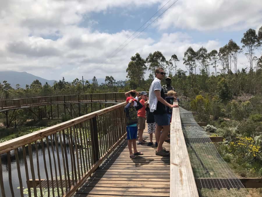 Plettenberg Bay: EcoKidz Family Wildlife Tour - Key points for families