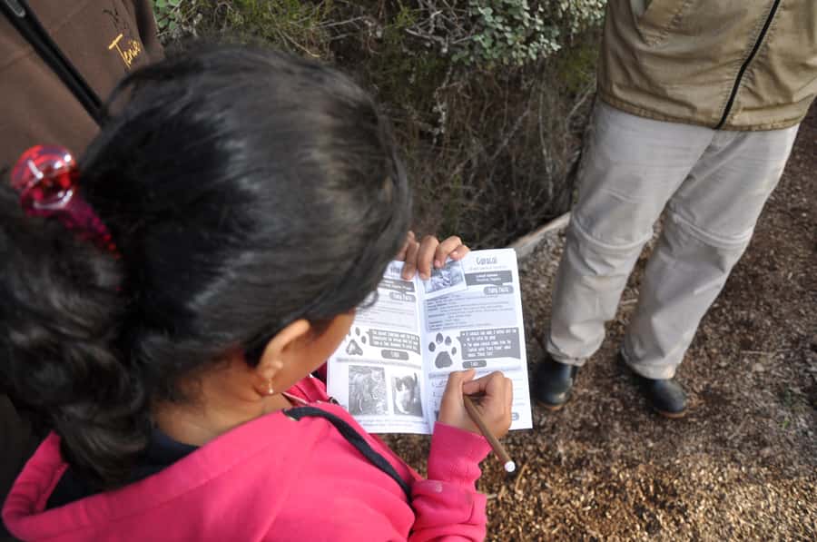 Plettenberg Bay: EcoKidz Family Wildlife Tour - Is $28 good value?