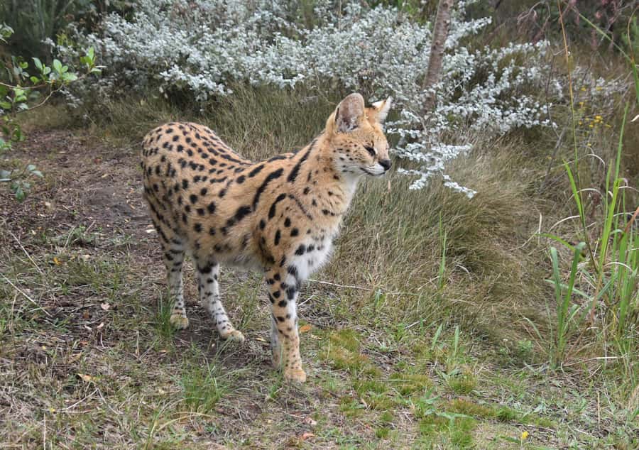 Plettenberg Bay: EcoKidz Family Wildlife Tour - Getting to Tenikwa from the N2