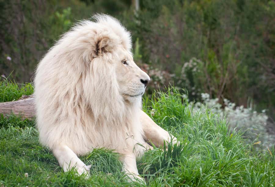 Plettenberg Bay: EcoKidz Family Wildlife Tour - Weather, walking, and accessibility