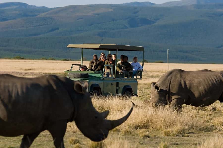 Plettenberg Bay Game Reserve: 2-Hour Game Drive - Two hours among the animals