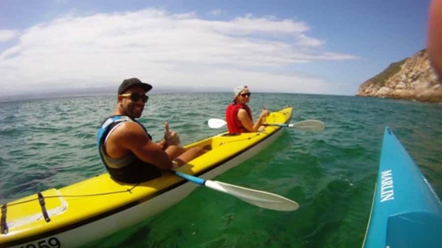 Plettenberg Bay: Guided Sea Kayak Tour - Key points at a glance