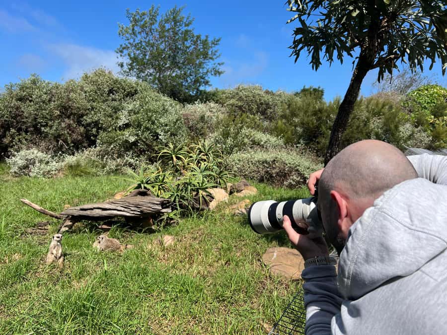 Plettenberg Bay: Private Guided Wildlife Photography Tour - Close viewing without touching the animals