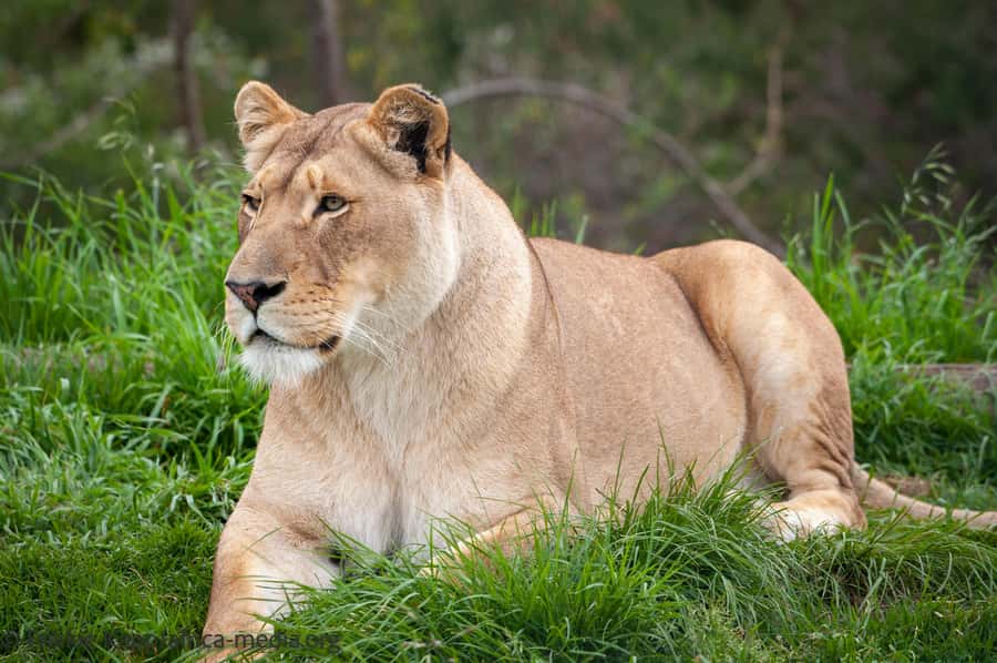 Plettenberg Bay: Private Guided Wildlife Photography Tour - A private guide changes the pace