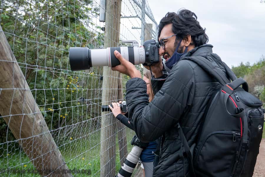 Plettenberg Bay: Private Guided Wildlife Photography Tour - Coffee, local snacks, and the final photo stop