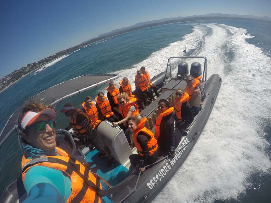 Plettenberg Bay: Seal Colony Viewing Excursion - Pictures, Cameras, and the Extra Video