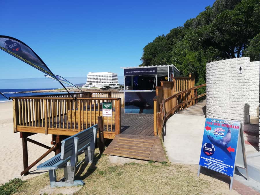 Plettenberg Bay: Seal Swimming Experience - Meeting the seals from Hobie Beach