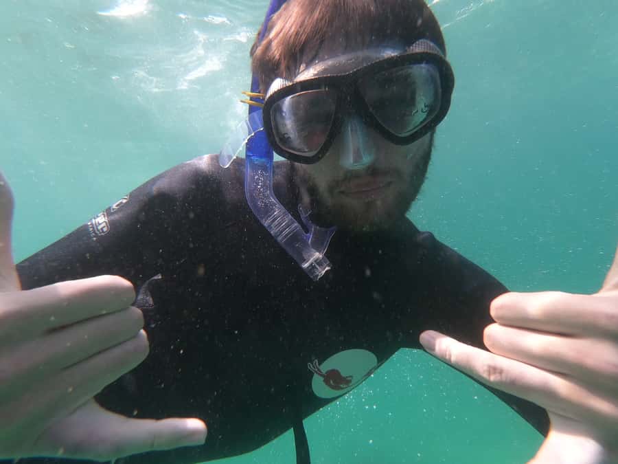 Plettenberg Bay: Seal Swimming Experience - Who will enjoy this most