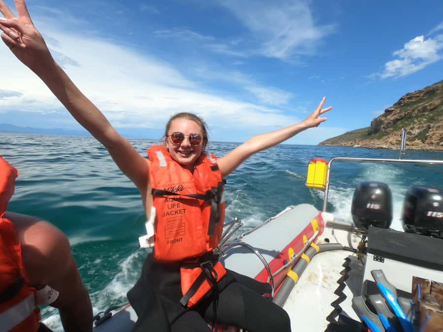 Plettenberg Bay: Seal Swimming Experience - Is Plettenberg Bay seal swimming worth booking?