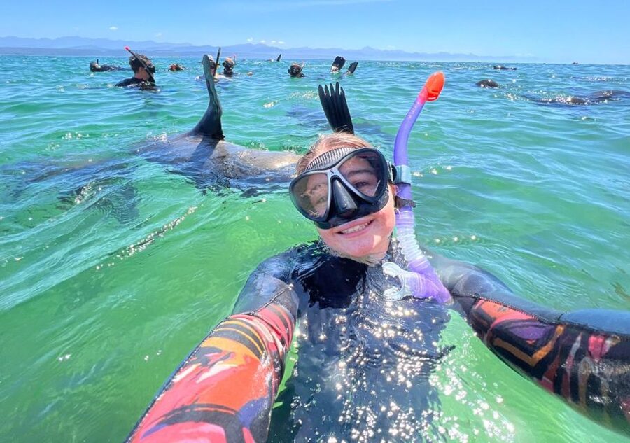 Plettenberg Bay: Seal Viewing Boat Trip - Key points to know before booking