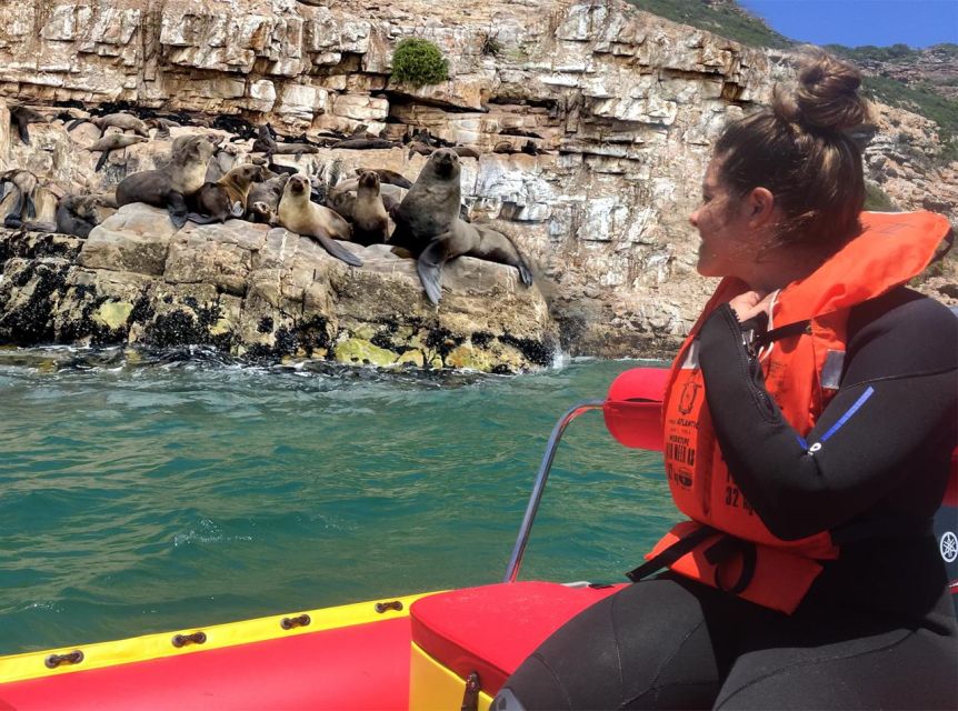 Plettenberg Bay: Seal Viewing Boat Trip - The boat ride out to Robberg