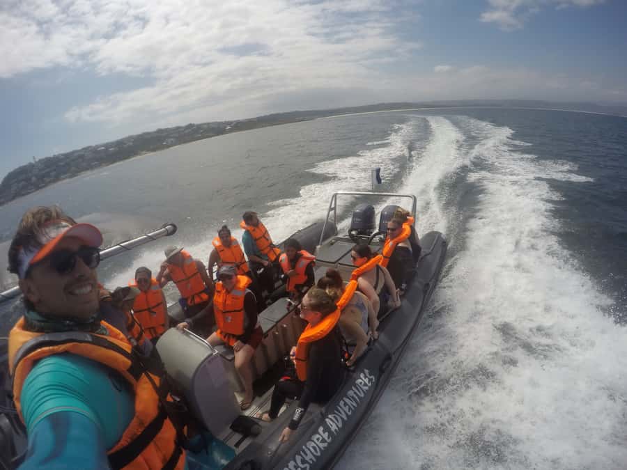 Plettenberg Bay: Swim with Seals - Should you book the seal swim?