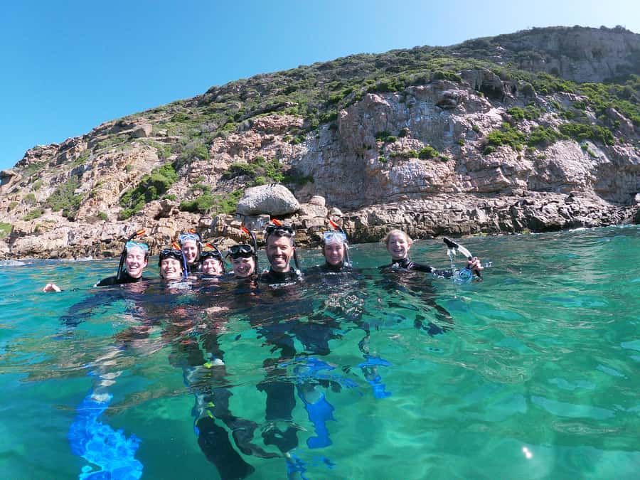 Plettenberg Bay: Swim with Seals - Meeting thousands of Cape fur seals