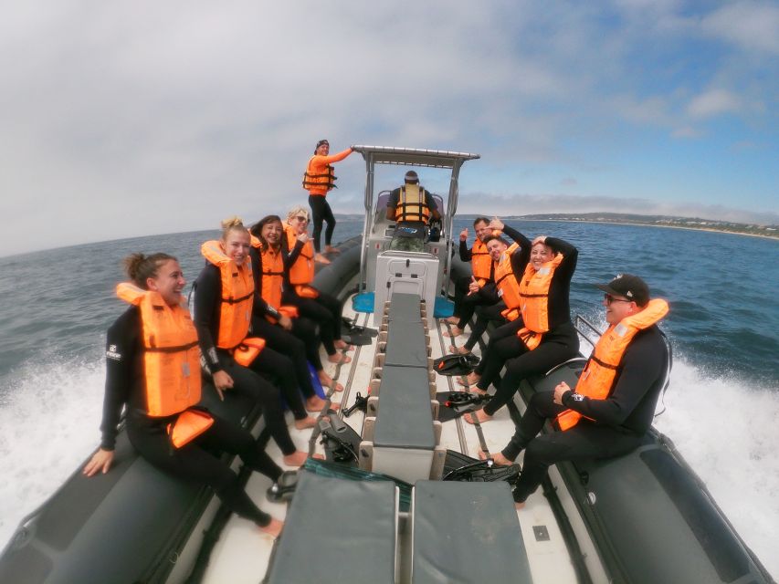 Plettenberg Bay: Swim with Seals - Who will enjoy this most?