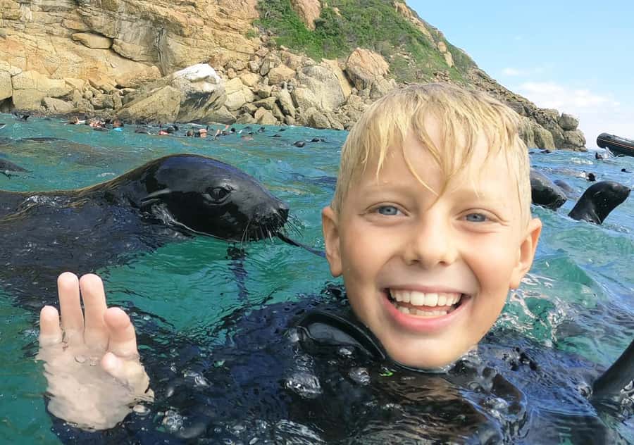Plettenberg Bay: Swim with the Seals - Key points before you book