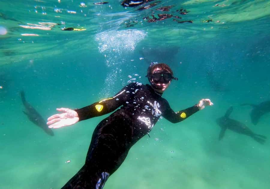 Plettenberg Bay: Swim with the Seals - Who will enjoy this most