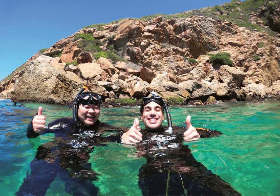 Plettenberg Bay: Swim with the Seals - Meeting the Cape Fur Seals