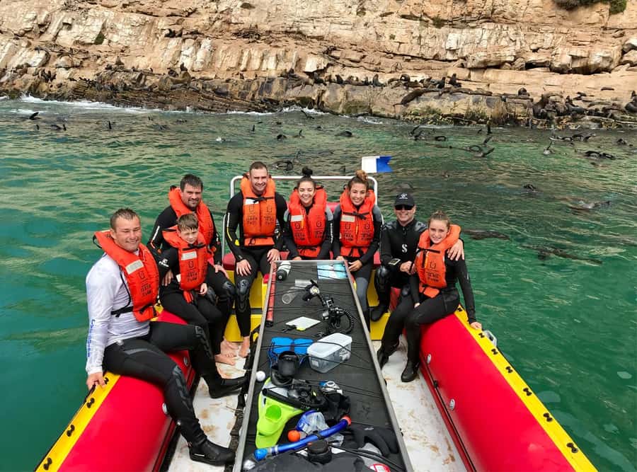 Plettenberg Bay: Swim with the Seals - Safety, rabies, and responsible wildlife contact