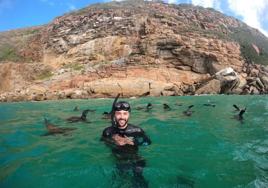 Plettenberg Bay: Swim with the Seals - Photos, showers, and the return to Plettenberg Bay
