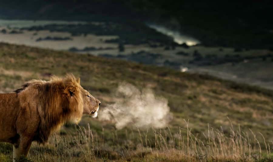 Port Elizabeth: 2-Day Addo Elephant Park Safari - Quick takeaways from two days around Addo