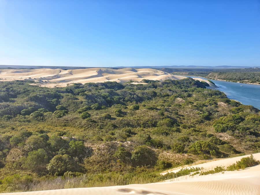 Port Elizabeth: 2-Day Addo Elephant Park Safari - Why Addo works so well for a short safari