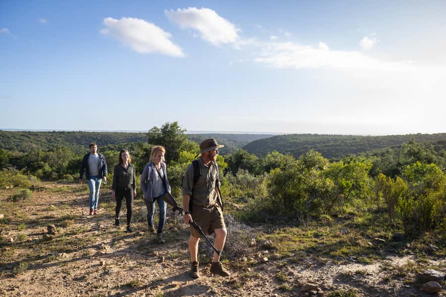 Port Elizabeth: 2-Day Addo Elephant Park Safari - Giraffe tracking, with an important detail