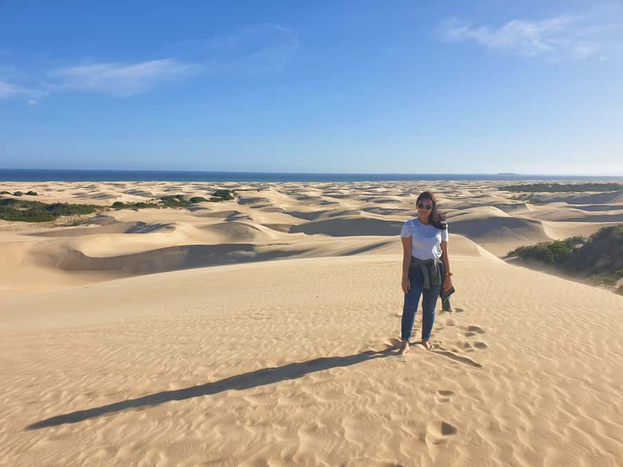 Port Elizabeth: 2-Day Addo Elephant Park Safari - Who should book this safari?