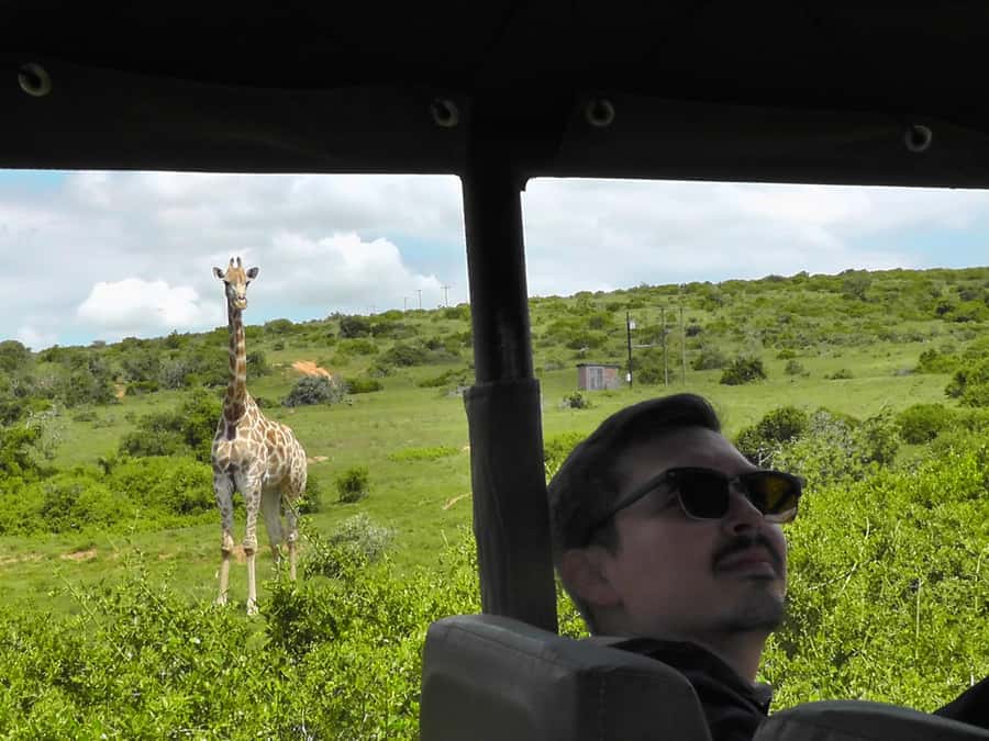 Port Elizabeth:2-Day Schotia Safaris & Addo Wildlife Reserve - Noon pickup from Port Elizabeth