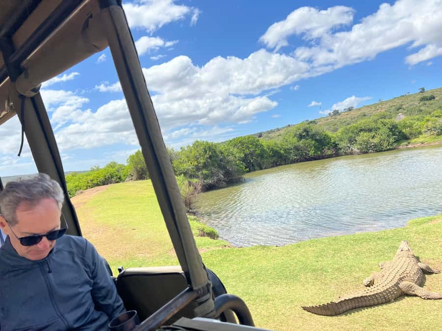 Port Elizabeth: 3-Day Addo Elephant National Park Safari - Why three days gives Addo more room to breathe