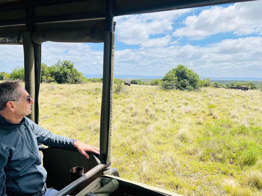 Port Elizabeth: 3-Day Addo Elephant National Park Safari - From Port Elizabeth to the Sundays River Valley