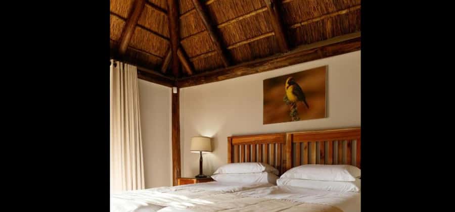 Port Elizabeth: 3-Day Addo Elephant National Park Safari - Who should book this Addo safari?