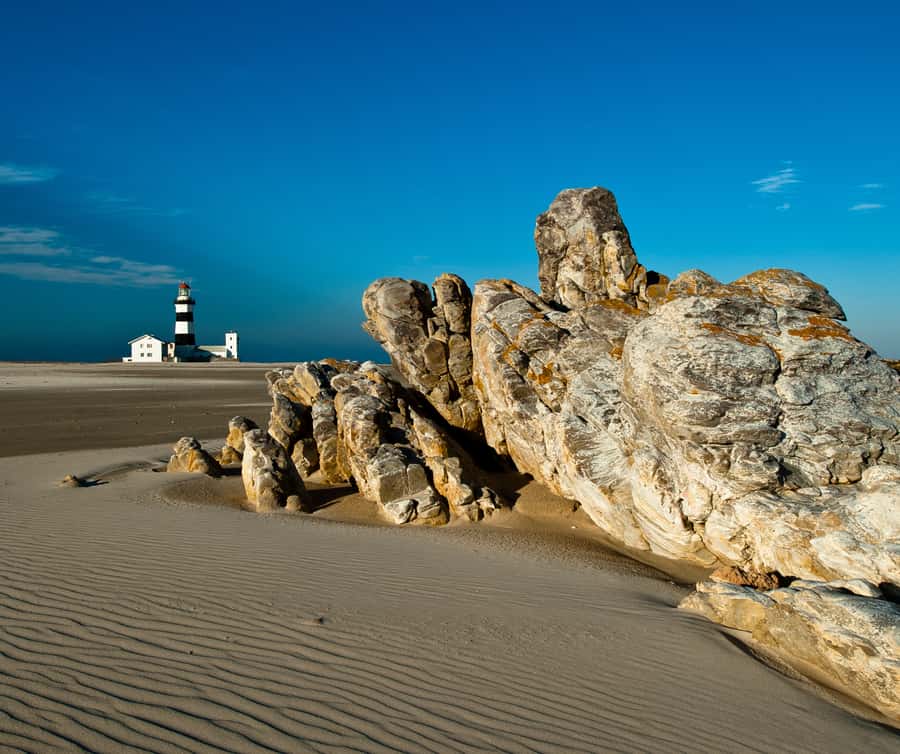 Port Elizabeth: 4x4 Wildlife Safari & City Sightseeing Tour - Why this Port Elizabeth day works