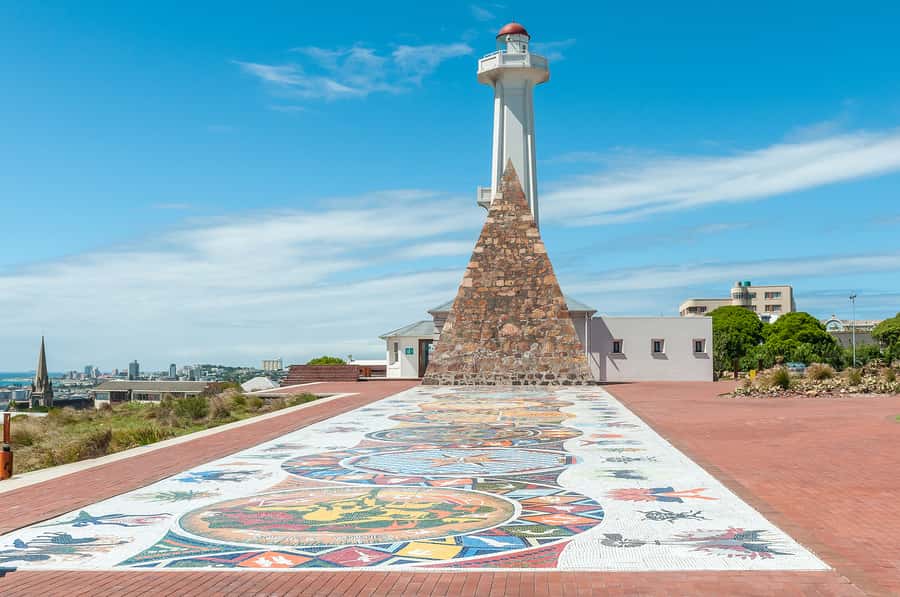 Port Elizabeth: 4x4 Wildlife Safari & City Sightseeing Tour - SANCCOB and the rescued African penguins
