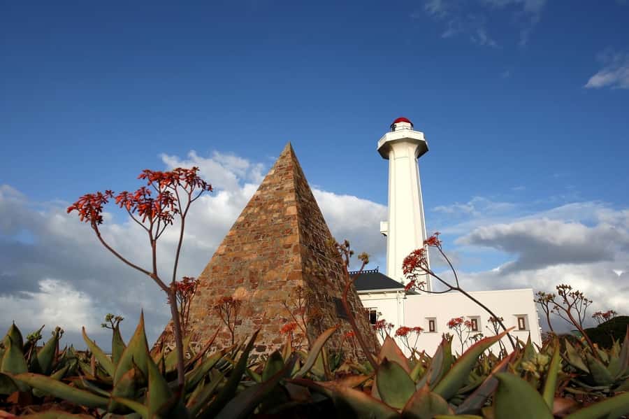 Port Elizabeth: 4x4 Wildlife Safari & City Sightseeing Tour - Wezandla African Craft Market for a useful first stop