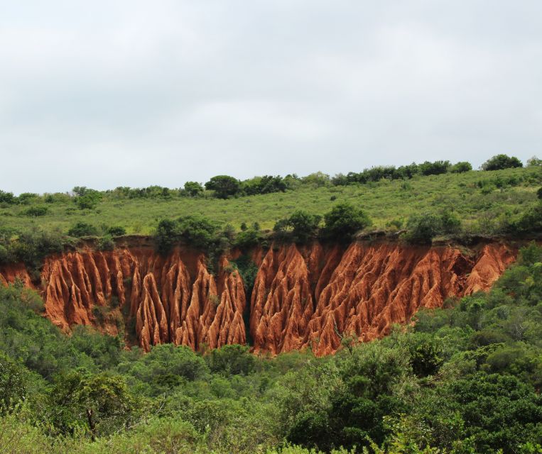 Port Elizabeth: Addo Elephant Park Shore Excursion with BBQ - Is $164 a fair price?