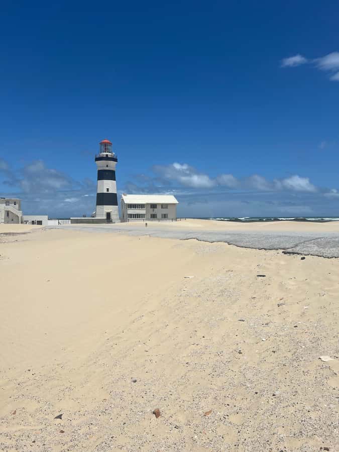 PORT ELIZABETH CITY TOUR - A short guided stop at SANCCOB Gqeberha