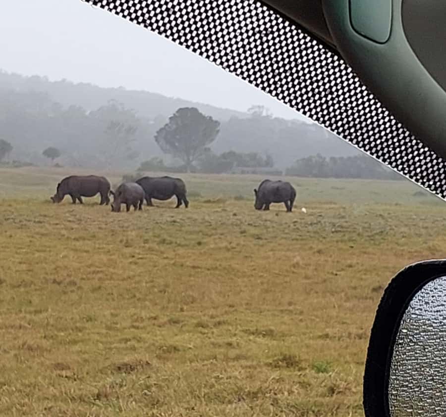 Port Elizabeth:Kragga Kamma Private game reserve safari - A short safari close to Port Elizabeth