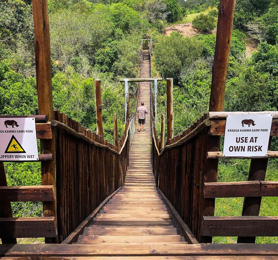 Port Elizabeth:Kragga Kamma Private game reserve safari - Coastal forest beside open grassland