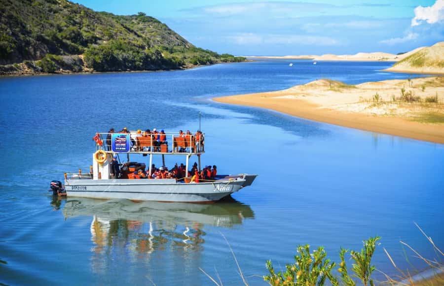 Port Elizabeth: River Cruise on the Sundays River - Birdlife along the riverbanks
