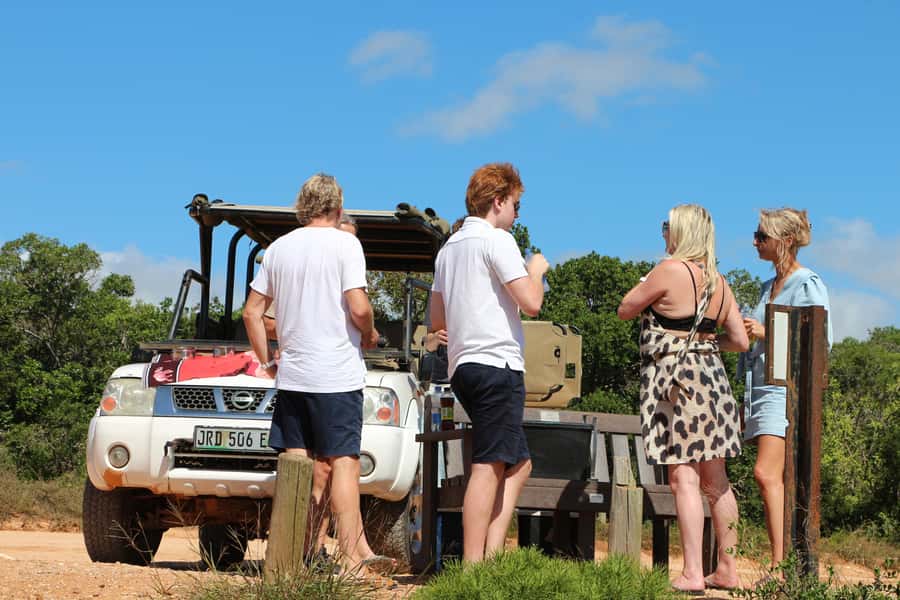 Port Elizabeth: Schotia Private Game Reserve Safari - Why Schotia works well for a short safari