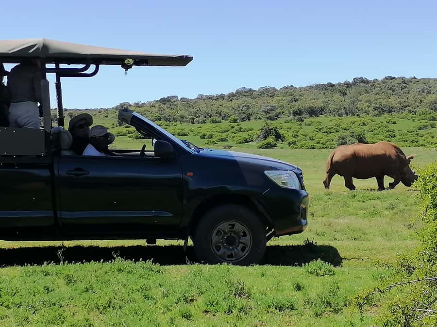 Port Elizabeth: Schotia Private Game Reserve Safari - The break includes more than a quick drink