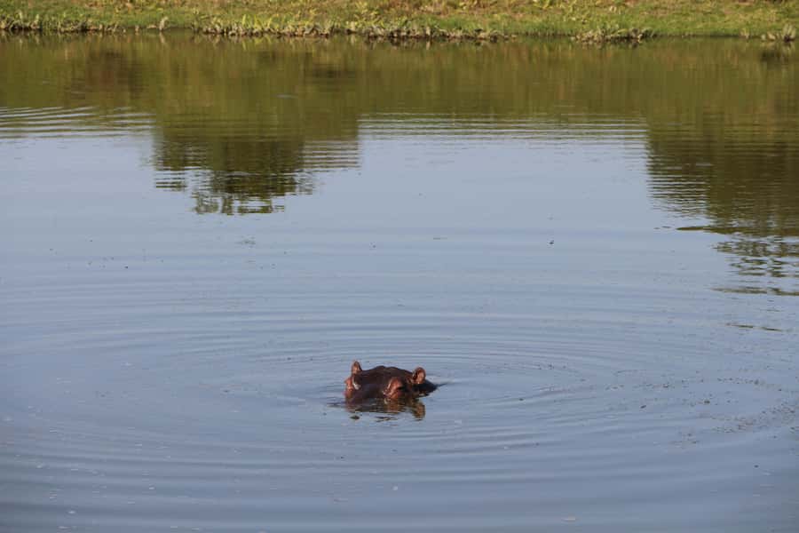 Port Elizabeth: Schotia Private Game Reserve Safari - From Port Elizabeth to the reserve