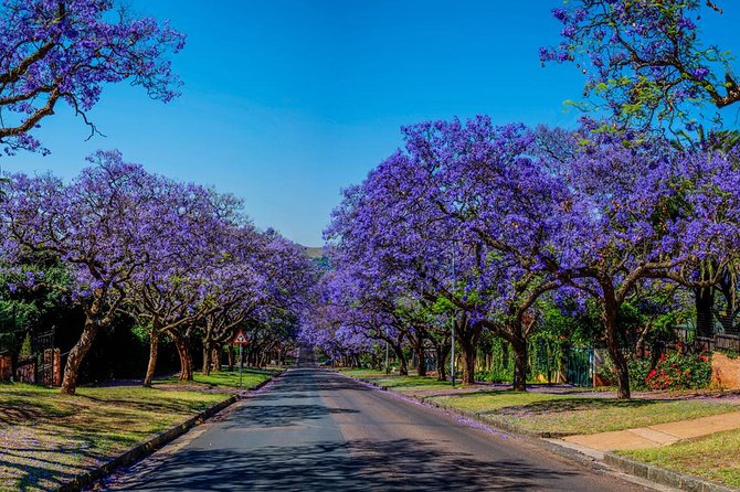 Pretoria City and Diamond Mine Tour - Who will get the most from this tour