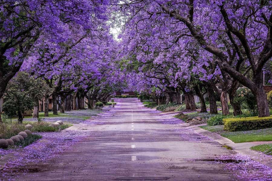 Pretoria: Half-Day City Tour with Hotel Pickup - Is $109 a fair price?