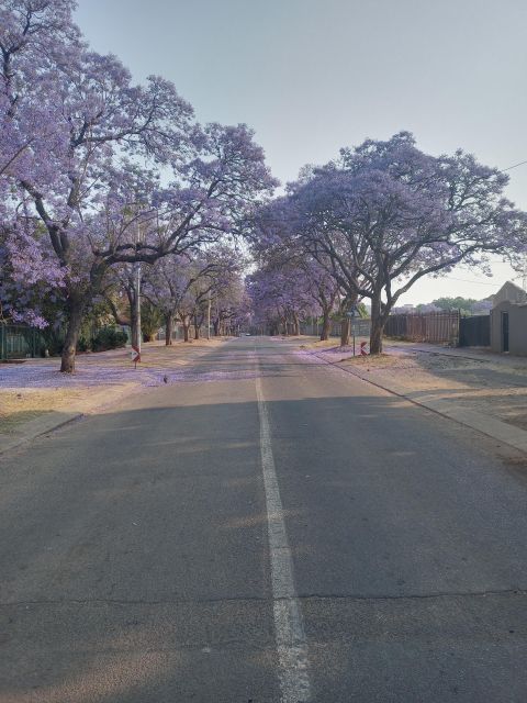 Pretoria half day tour - Is $86 a fair price?