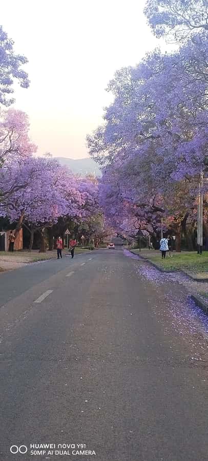 Pretoria: Pretoria City Tour and Cullinan Diamond Mine Tour - The 4:00 pm return and the pace of the day