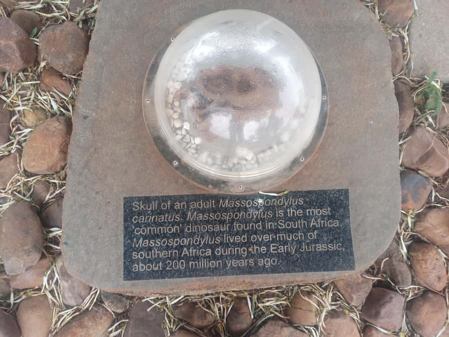Pretoria/Sandton: Cradle of Humankind & Sterkfontein Caves - What the $106 price includes