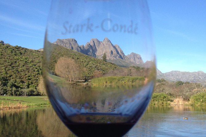 Private Big Red Wine Tour - Rust en Vrede under the oak trees