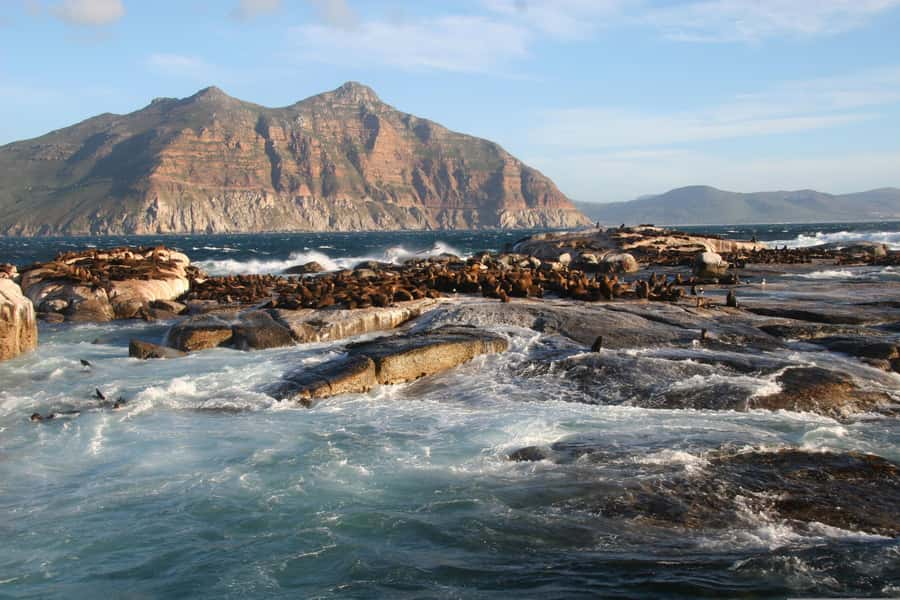 Private Cape of Good Hope Guided Tour - Key points to know before you book