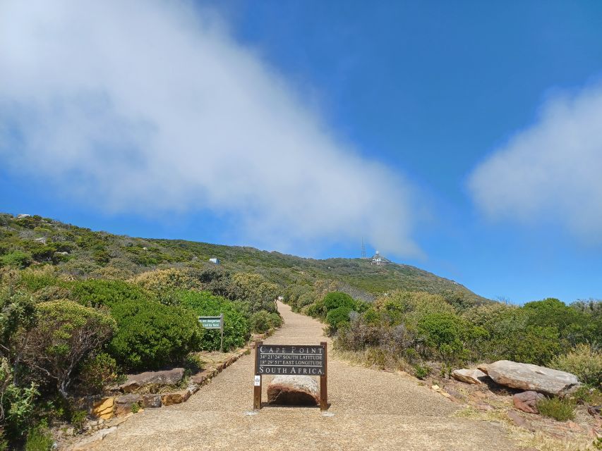 Private Cape of Good Hope Guided Tour - Hout Bay and the optional Seal Island cruise